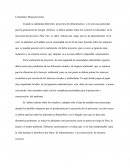 Comentario Megaproyectos