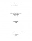 Características del conflicto