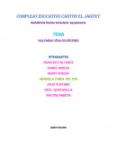 Junta de animales