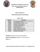 Actividad Principios basicos de la naturaleza