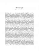 Aplicaciones de la microscopia a Fisica Matemáticas