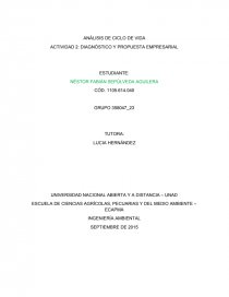 ANÁLISIS DE CICLO DE VIDA ACTIVIDAD 2: DIAGNÓSTICO Y PROPUESTA EMPRESARIAL. Página 1