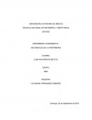 Enfermeria Fundamental Actividad 1