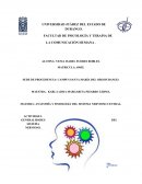 Cuales son las Generalidades del sistema nervioso