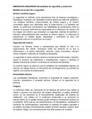 MEDIDAS DE SEGURIDAD Necesidades de seguridad y protección