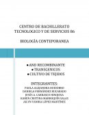 Transgenicos