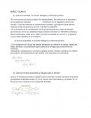 MARCO TEORICO Qué es la amilasa, su función biológica y la fórmula química