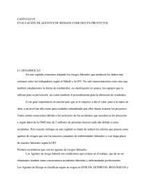 EVALUACIÓN DE AGENTES DE RIESGOS COMUNES EN PROYECTOS. Página 1