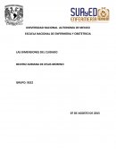 LAS DIMENSIONES DEL CUIDADO.