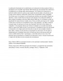 La aplicación del principio de no maleficencia