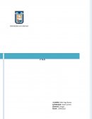 PAE quemadura por friccion