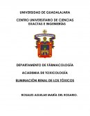 Eliminación de tóxicos por vía renal