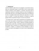 Agregados finos y gruesos