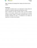 Sistemas de organización y manejo de proyectos de CEMEX