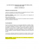 CULTURA POLÍTICA: ESTUDIO DE CASO AGRO ARTE SEMILLAS DEL FUTURO EN SAN JAVIER