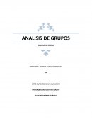 ANALISIS DE GRUPOS DINAMICA SOCIAL
