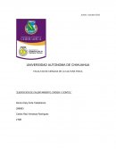 Calentamiento "gimnasia basica"