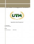 Seguridad y Salud Ocupacional . Gerencia del Desempeño