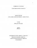 Caracterizacion del conflicto