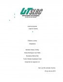 Comprador misterioso Desarrollo de negocios 3-2