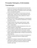 Principales Patologías y Enfermedades Traumatología