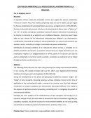 LOS PASIVOS AMBIENTALES, LA ADECUACION DE LA NORMATIVIDAD A LA REALIDAD