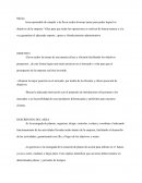 Descripcion de Area Gerencia