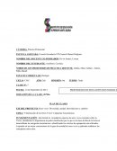 Clasificación de los seres vivos. Categorías taxonómicas