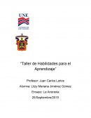 Ensayo: La Anorexia Taller de Habilidades para el Aprendizaje