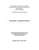 Plantas termicas combustion