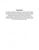 Planificacion de recursos empresariales y su introduccion