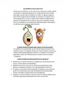 Solicitud ¿La semilla es un ser vivo o no?