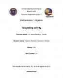 Integrating activity math 1