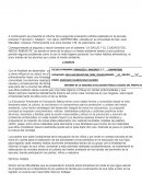 INFORMES PROYECTO ESCOLAR