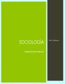 Los principios de la sociologia Actividad