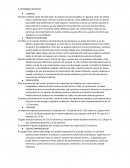 RESUMEN EJECUTIVO. LA CHÍA