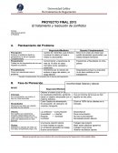 PROYECTO FINAL 2013 El tratamiento y resolución de conflictos