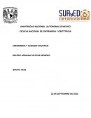 ENFERMERIA Y CUIDADO HOLISTICO ¿Qué es un paradigma?