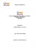 TRABAJO COLABORATIVO 1 PROGRAMA ANTROPOLOGIA