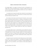 Comentario Ciudadanos en red