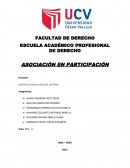 ASOCIACIÓN EN PARTICIPACIÓN . LOS CONTRATOS MERCANTILES CLASIFICACIÓN