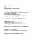 Los problemas matematicos