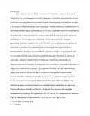 PLANIlLA DE REMUNERACIONES