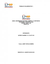 TRABAJO COLABORATIVO 1 PROGRAMA ANTROPOLOGIA. Página 1