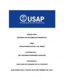 Como esta constituido el Sistema de información gerencial