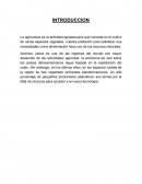 Actividad agraria en América Latina