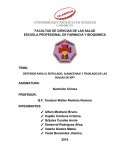 CRITERIOS PARA EL ROTULADO, ALMACENAJE Y TRASLADO DE LAS BOLSAS DE NPT