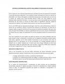 SISTEMAS DE INFORMACION LOGISTICA INALAMBRICA (TECNOLOGIAS APLICADAS)