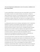 ¿Por qué son importantes las multinacionales a través de sus matrices y subsidiarias en los países subdesarrollados?