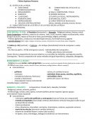 Educación Musical. Escuchas